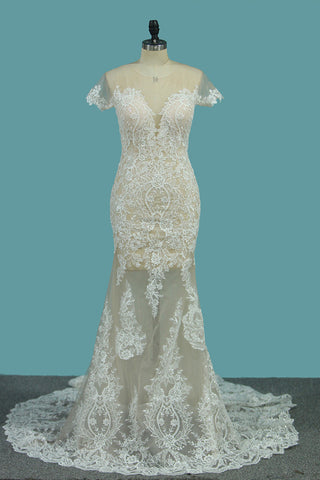 Scoop Short Sleeve Mermaid Tulle Lace Appliques Wedding Dresses OKE76