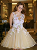 A-Line Scoop Backless Short Sleeveless Organza Homecoming Dresses with Appliques OK228