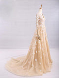 Pretty A-Line V-Neck Long Sleeves Tulle Appliques Floor Length Prom Dress OKG32