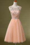 Blush Pink Backless Tulle Short Prom Dresses ED0655