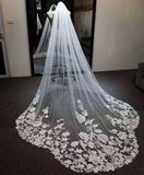 New Arrival Elegant One Layer 2M Tulle Wedding Veils Lace Appliques Edge OV91