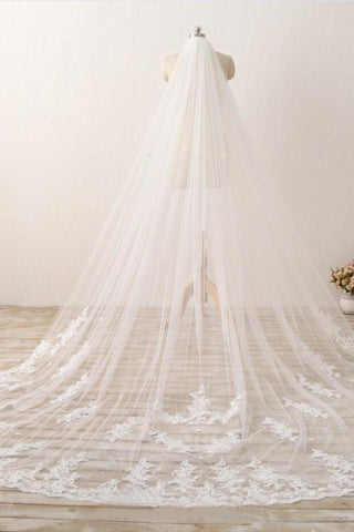 3M Long Embroidered Lace Cathedral Veils for Wedding WV11