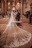 Fairy Tale Worthy One Layer Cathedral Length Lace Wedding Veils WV10