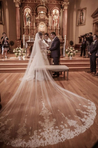 Fairy Tale Worthy One Layer Cathedral Length Lace Wedding Veils WV10