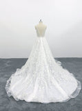 A-line Deep V Neck Fairy Tale Wedding Dresses Lace Tulle Bridal Dresses OKU96