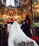 All Over Lace Unique Mantilla Church Bridal Veils WV19
