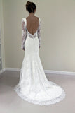 Custom Made Trumpet Mermaid Backless Long Sleeves Lace Wedding Dresses OK197