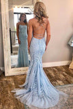 Blue Lace Applique Mermaid Sexy Charming Long Prom Dresses OKE39