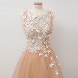 A Line Round Neck Tulle Long Prom Dress with Lace Appliques OKU29